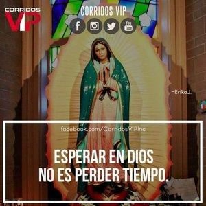 Meet your Posher, Lupita